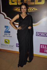 Anita Hassanandani at Gold Awards red carpet in Filmistan, Mumbai on 17th May 2014
